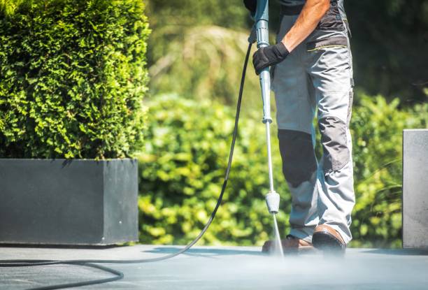 Best Driveway Pressure Washing  in Bluffton, IN